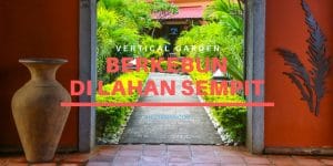 Berkebun di Lahan Sempit dengan Vertical Garden