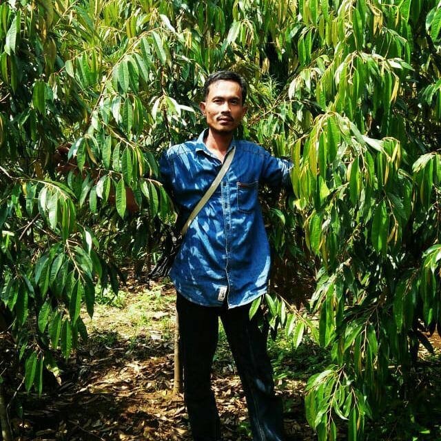 Irul Ahli Taman