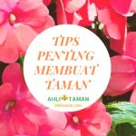 Tips Membuat Taman di Rumah