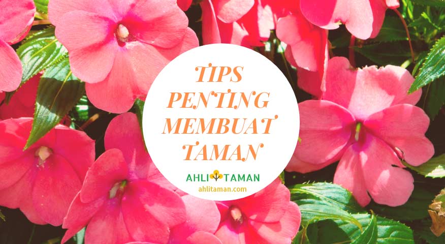 Tips Membuat Taman di Rumah