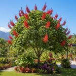 Bunga Walisongo: Jenis, Teknik Mekarkan & Perawatan di Taman