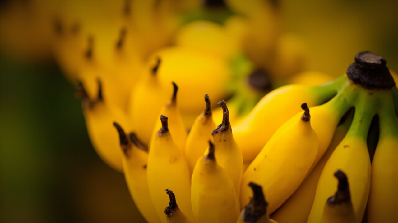 7 Jenis Pisang Populer di Indonesia: Ciri, Rasa, Kegunaan