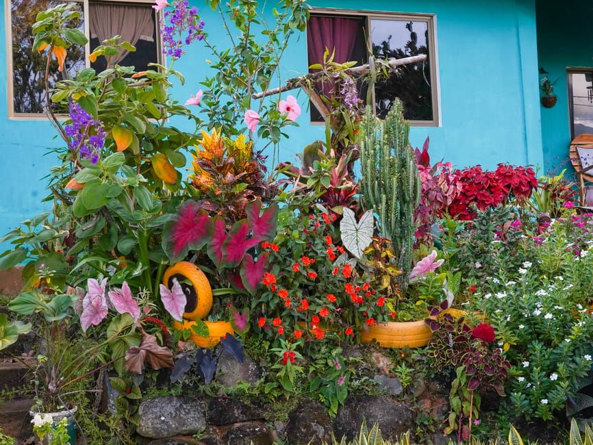 Estimasi Biaya Membuat Taman Rumah Sederhana di Indonesia