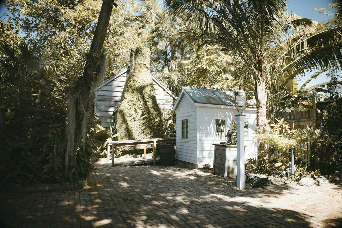 Kebun Belakang Rumah Kecil Tropical