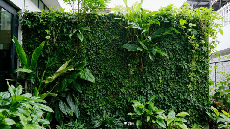 Vertical Garden untuk Taman Minimalis: Keunggulan, Jenis & Cara Membuat 43